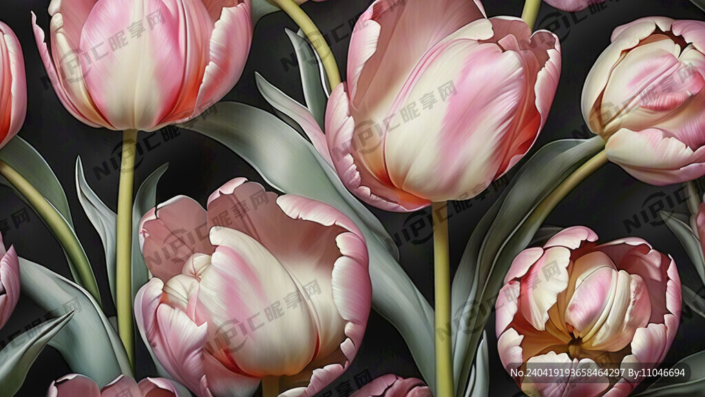 郁金香 右下   少   壁纸