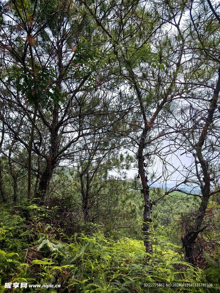 广东肇庆高要白土自然高山景色