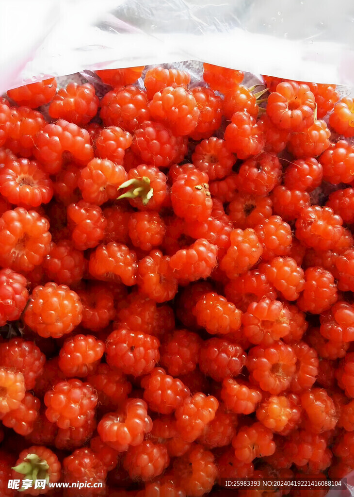 树莓