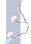 玉兰花