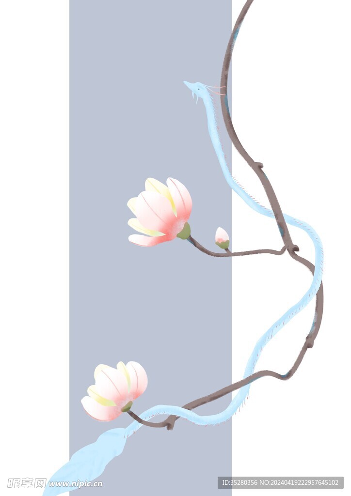 玉兰花