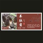 羊肚菌