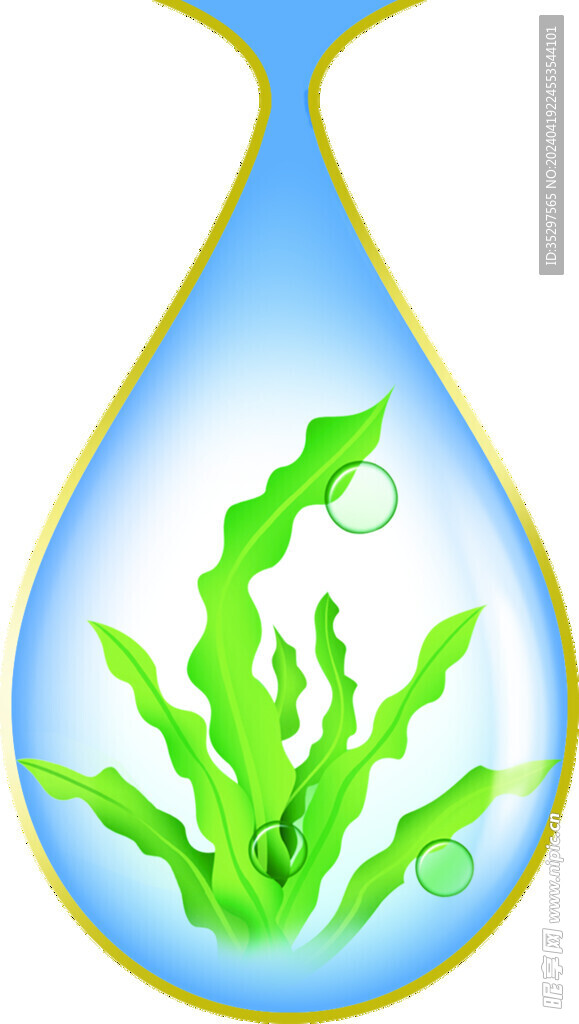 海藻水滴