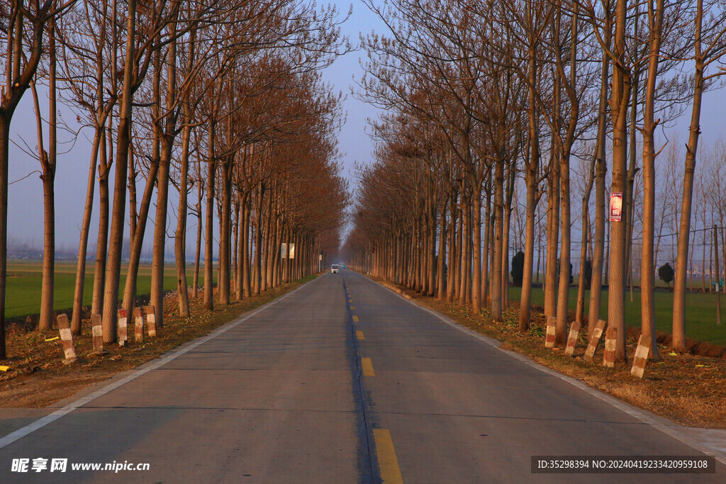 乡村公路