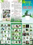 绿植三折页
