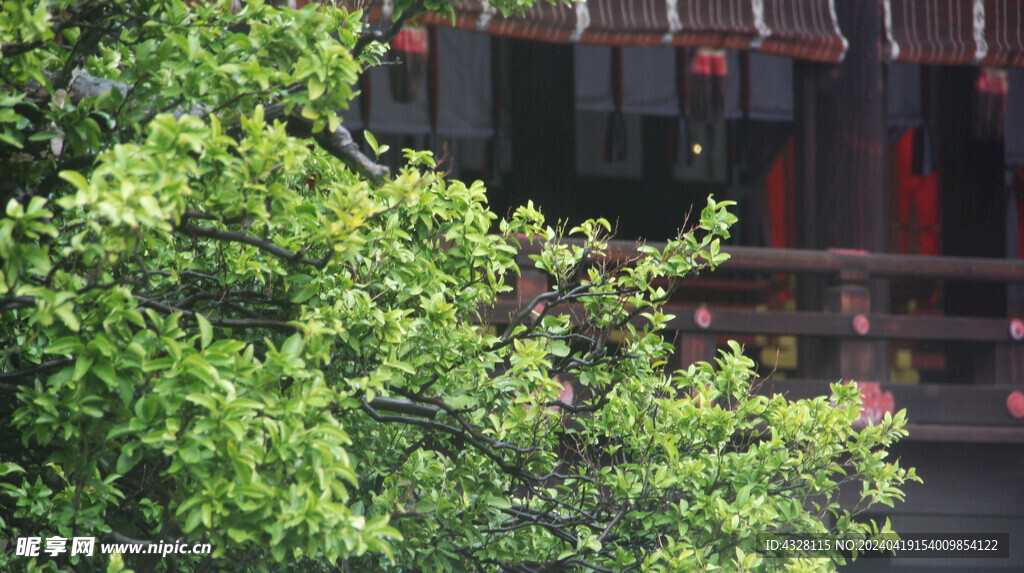 京都二条城建筑特写小景