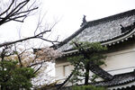 京都二条城建筑风景