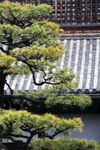 京都二条城建筑风景