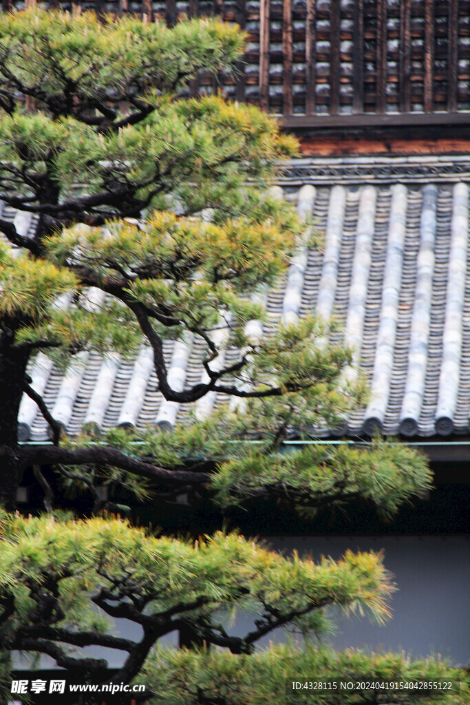 京都二条城建筑风景