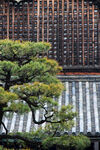 京都二条城建筑风景