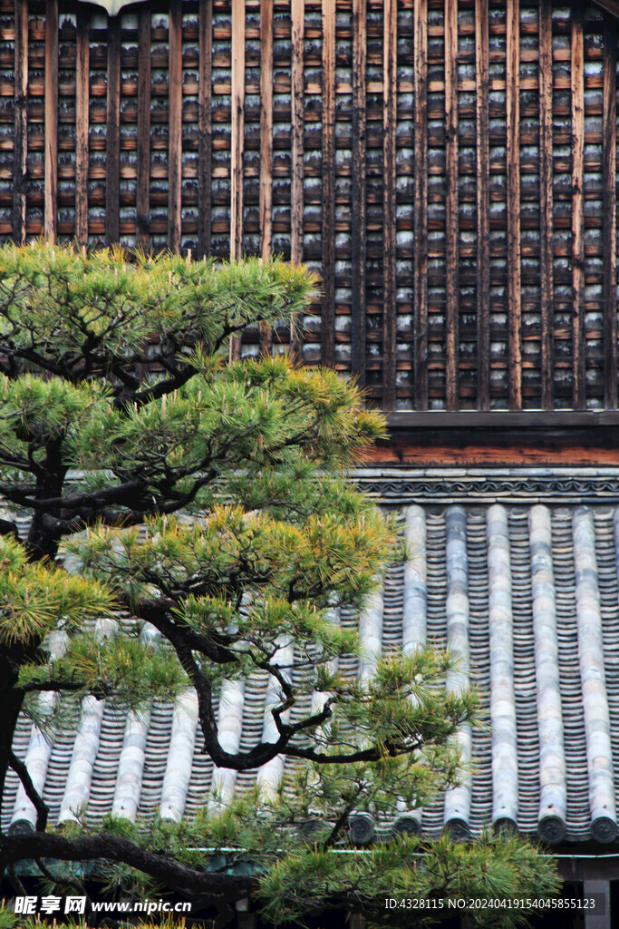 京都二条城建筑风景