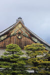 京都二条城建筑风景