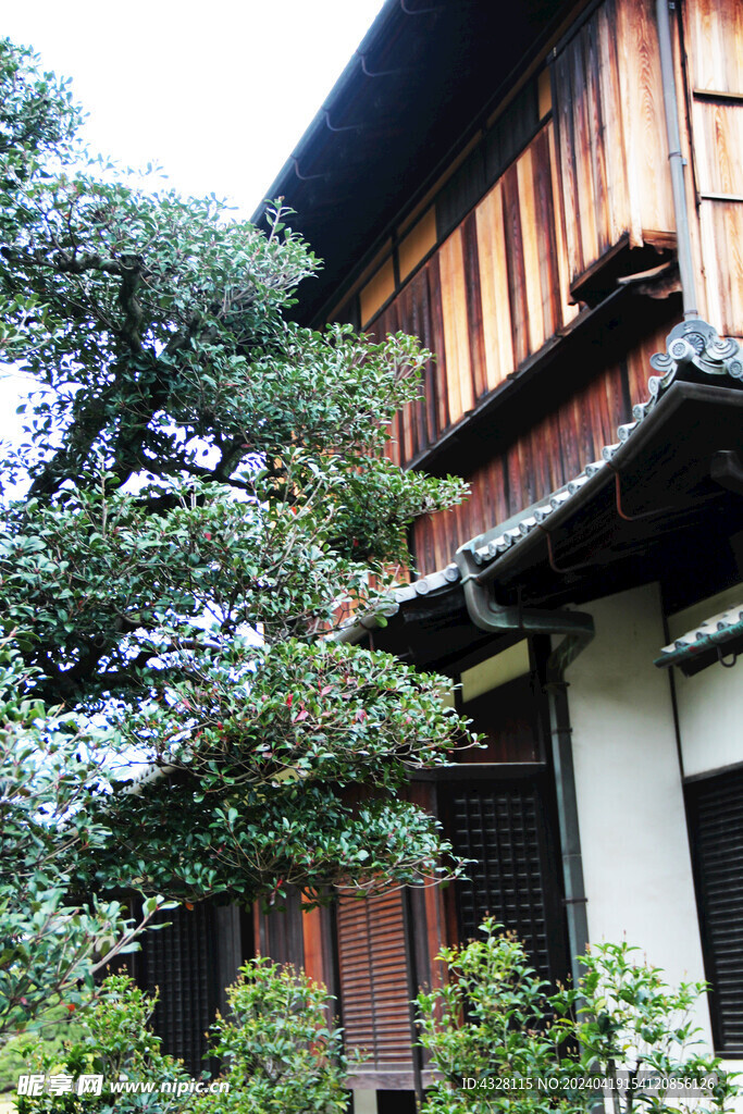 京都二条城建筑风景