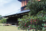 京都二条城建筑风景