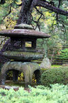 京都二条城园林风景
