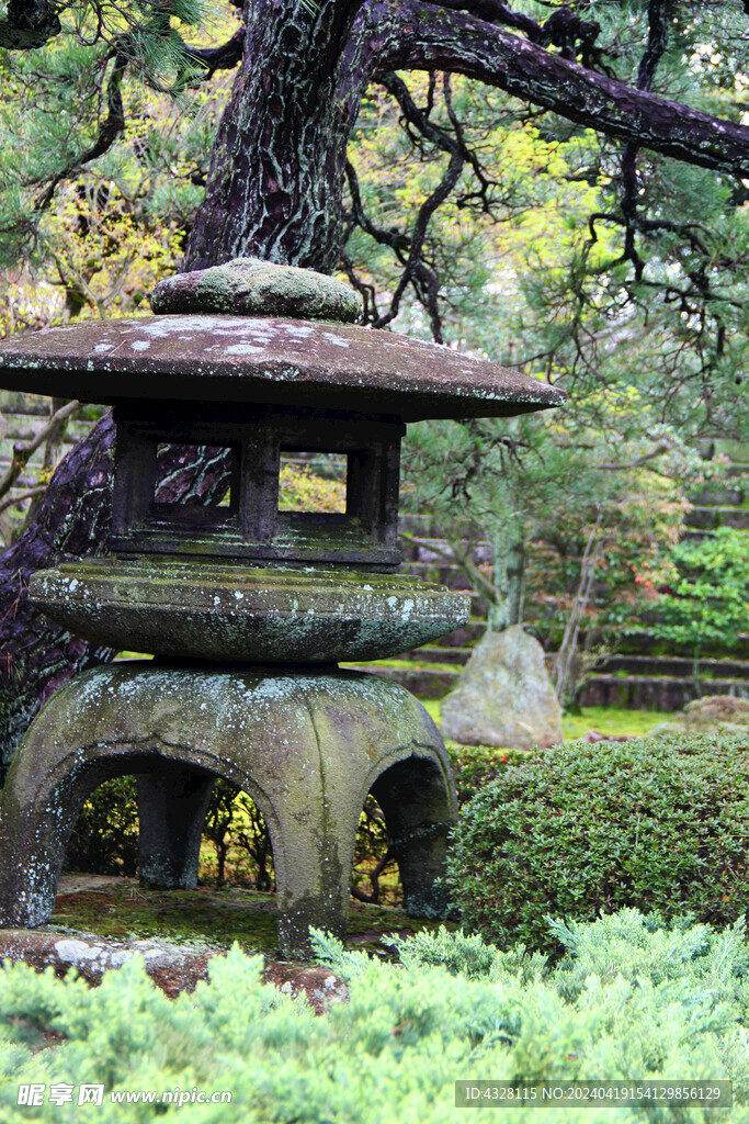 京都二条城园林风景