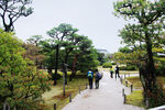 京都二条城园林风景