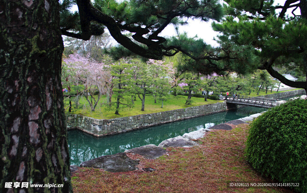 京都二条城园林风景