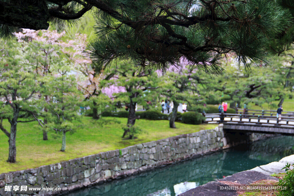 京都二条城园林风景