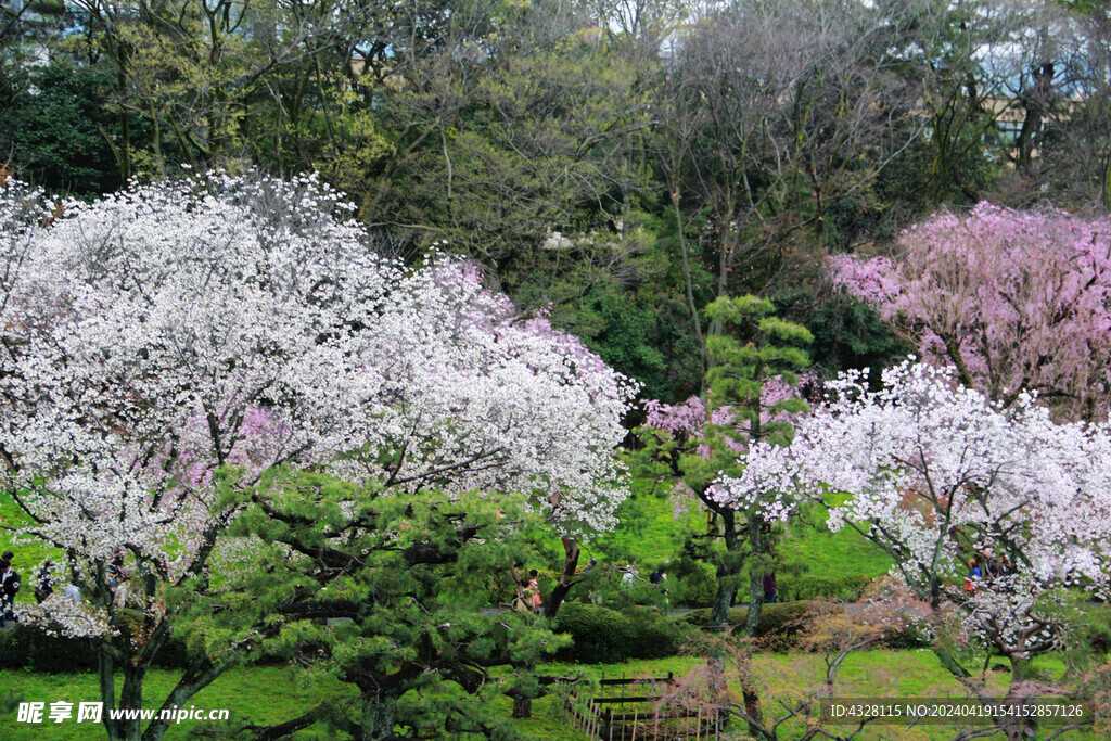 京都二条城风景