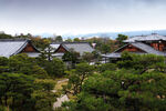 京都二条城建筑风景