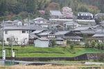 岚山小火车沿路风景
