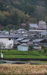 岚山小火车沿路风景