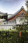 层叠的屋檐二条城建筑风景