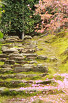 山间石阶小路