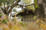 京都二条城建筑风景