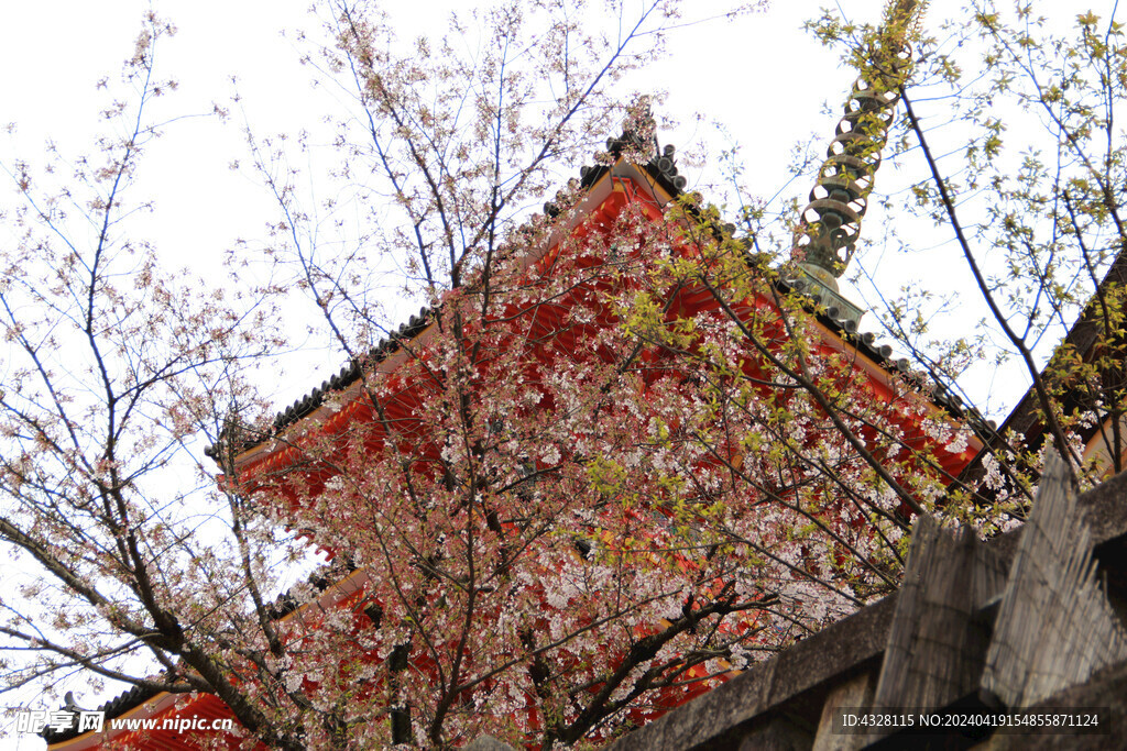 京都清水寺建筑风景