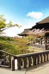 京都清水寺建筑