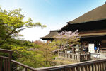 京都清水寺建筑