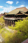 京都清水寺建筑风景