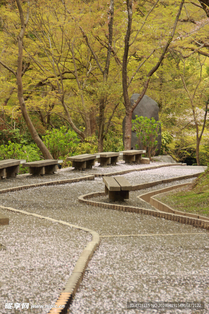 京都清水寺园林小景