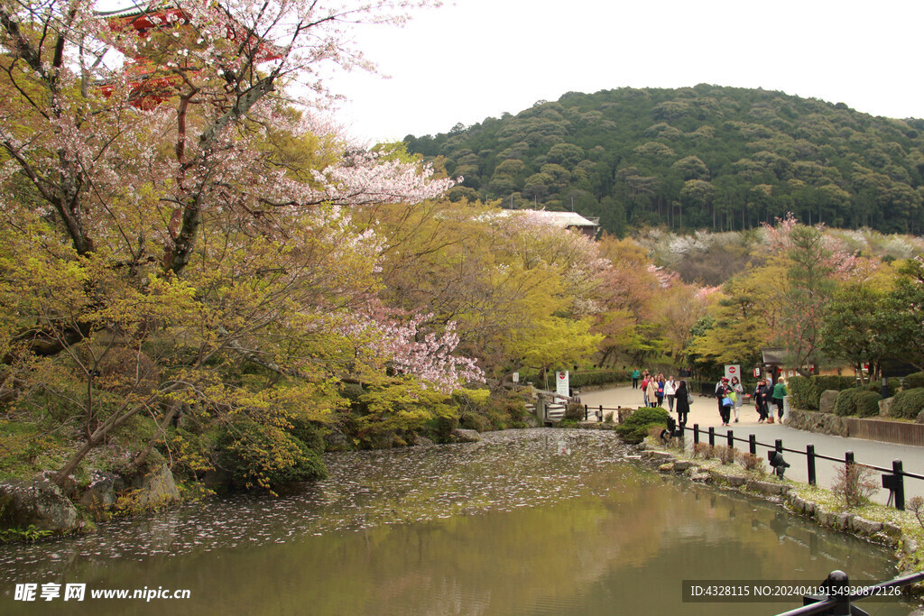 京都清水寺园林风景