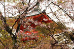 京都清水寺建筑