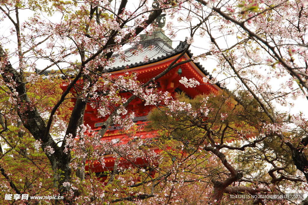 京都清水寺建筑