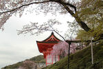 京都清水寺建筑