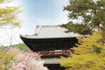 京都二条城建筑风景