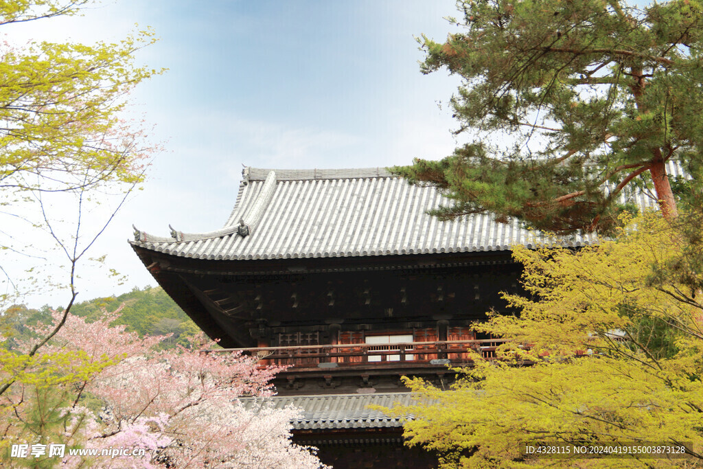 京都二条城建筑风景