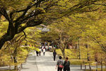 京都二条城建筑
