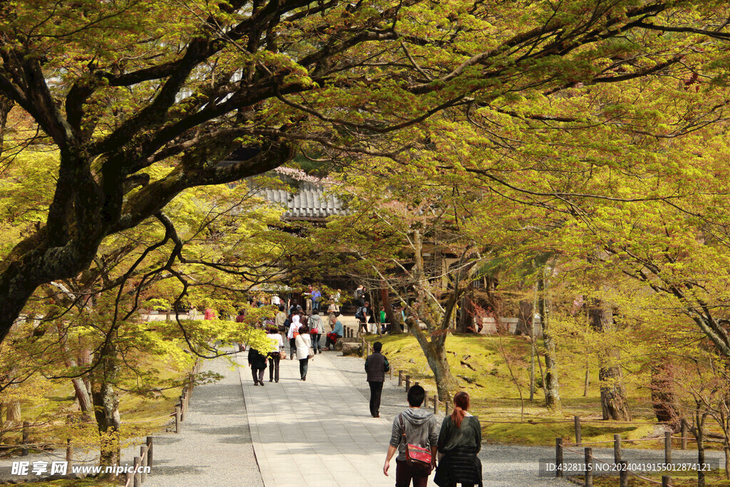 京都二条城建筑