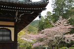 京都二条城建筑风景