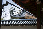 京都二条城建筑特写