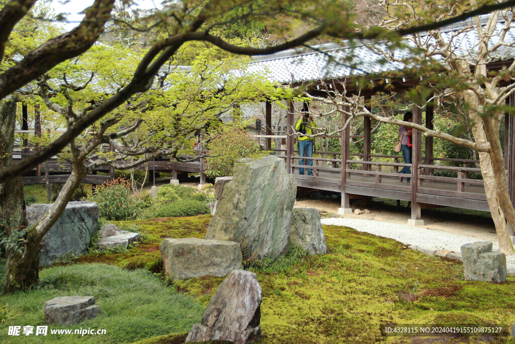 京都二条城园林
