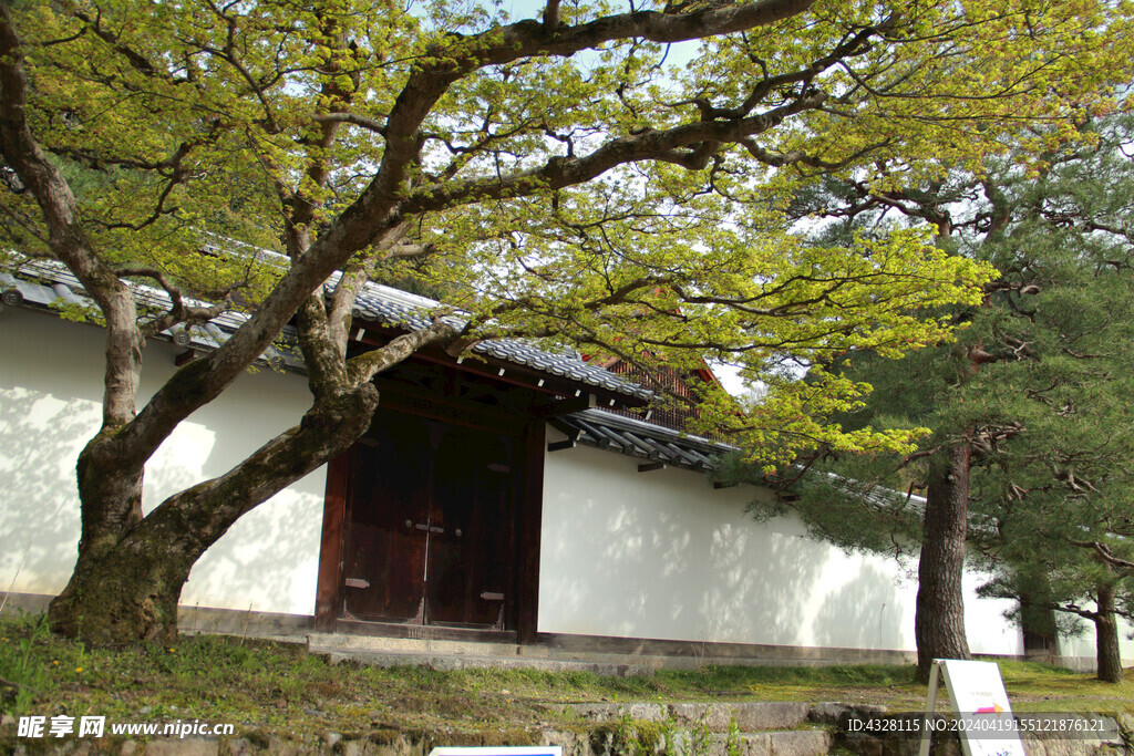 京都二条城建筑