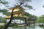 京都金阁寺