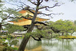 京都金阁寺
