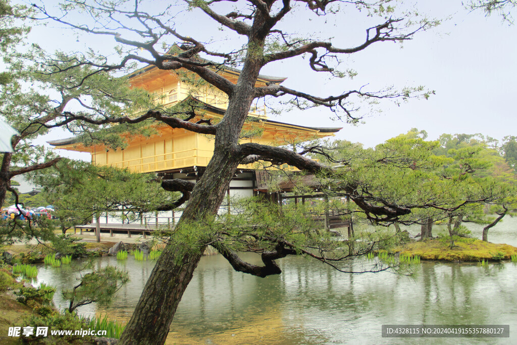 京都金阁寺